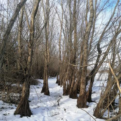 Photo #7154890