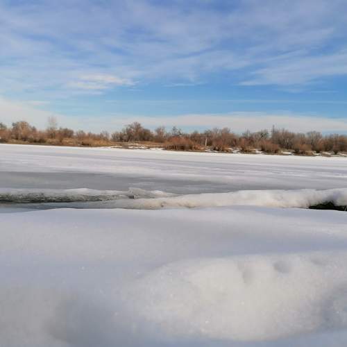Photo #7154896
