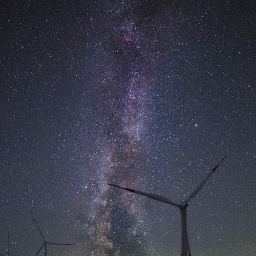 Photo #7154945