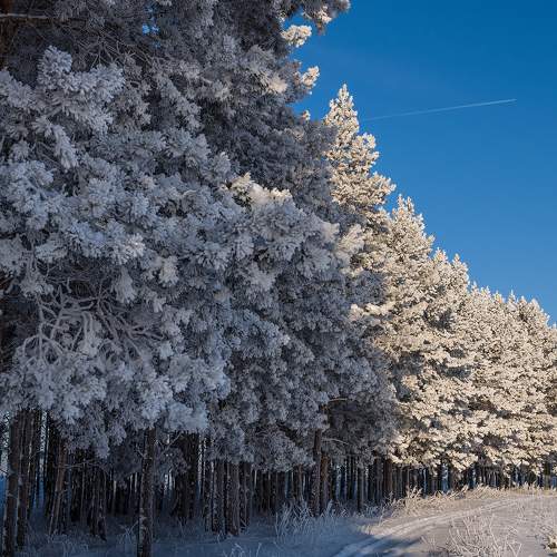 Photo #7155220