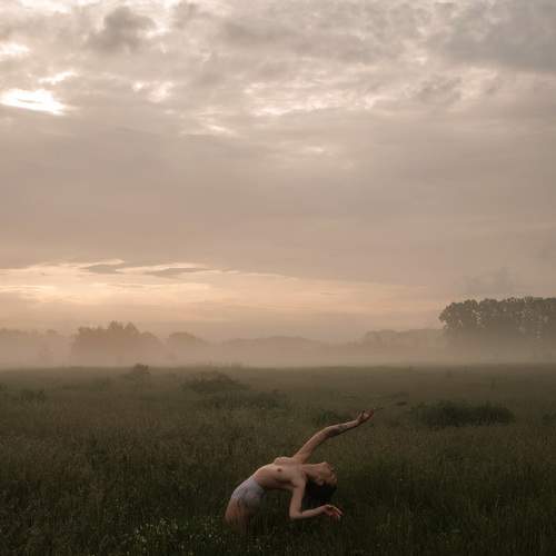 Photo #7155343