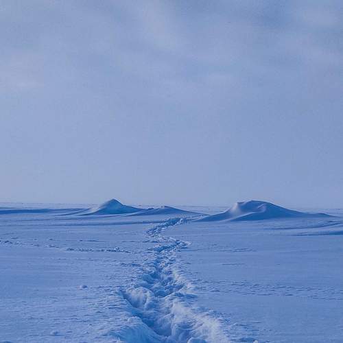 Photo #7155475