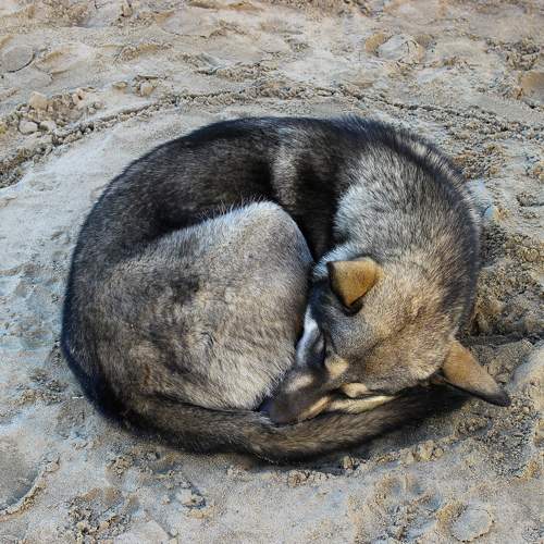 Photo #7155772