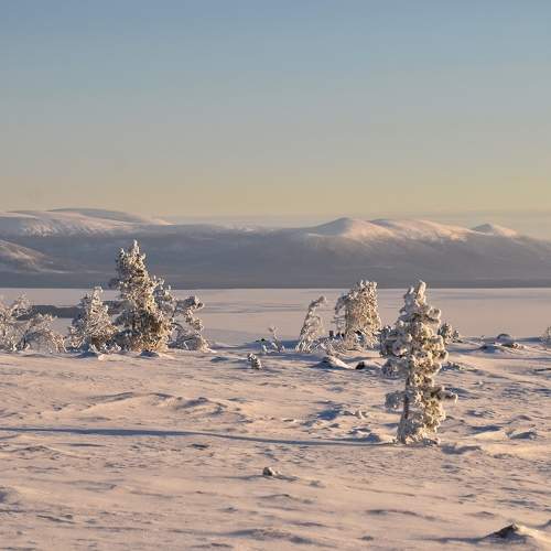Photo #7155880