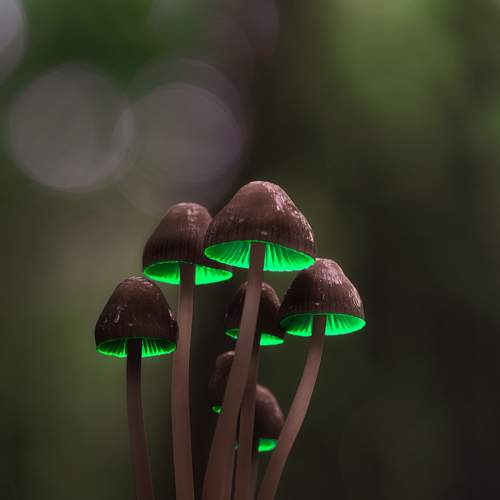 Photo #7156017