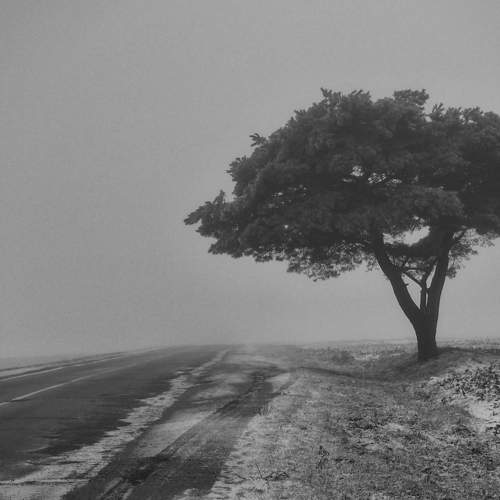 Photo #7156173