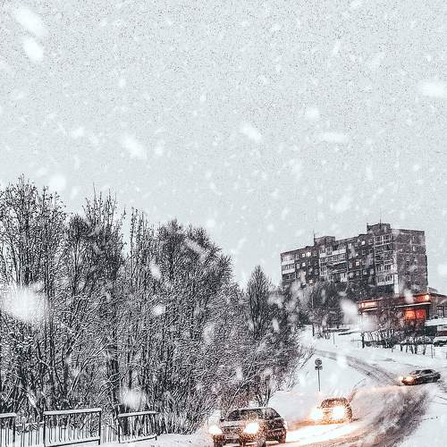 Photo #7156207