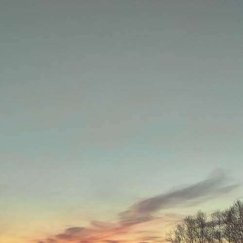 Photo #7156235