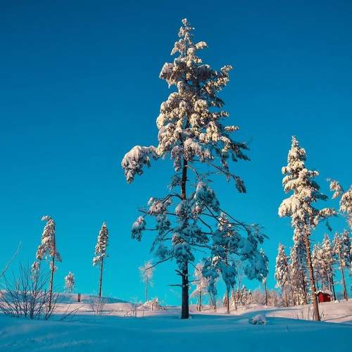 Photo #7156387