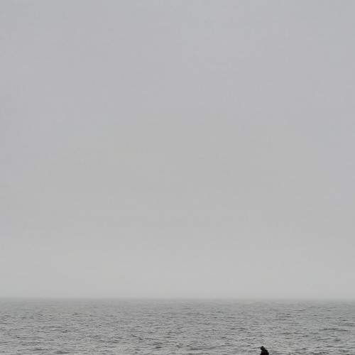 Photo #7156436