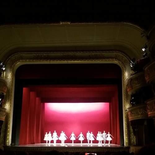 Photo #7156646
