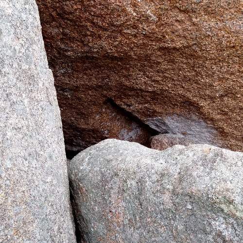 Photo #7157081