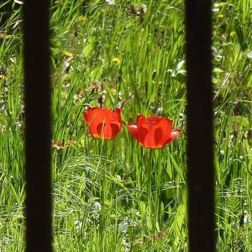 Photo #7157332