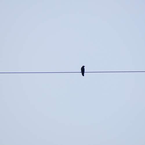 Photo #7157492