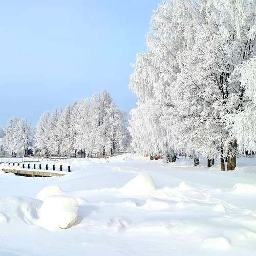 Photo #7157645