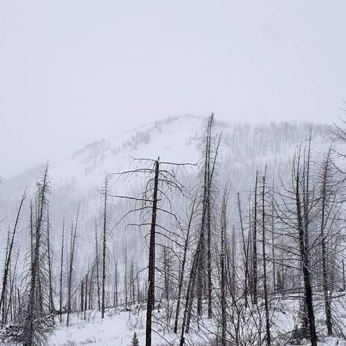 Photo #7157681