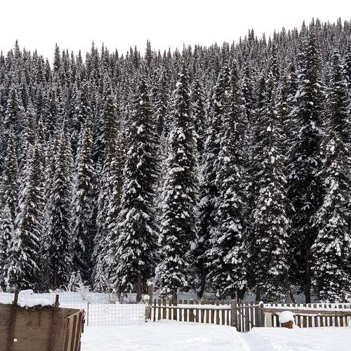 Photo #7157691