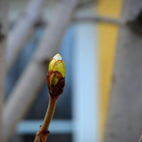Photo #7157709