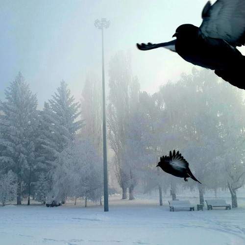 Photo #7157721