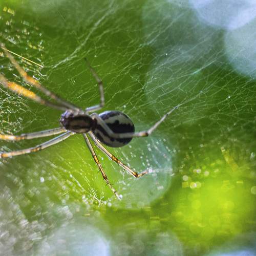 Photo #7158077