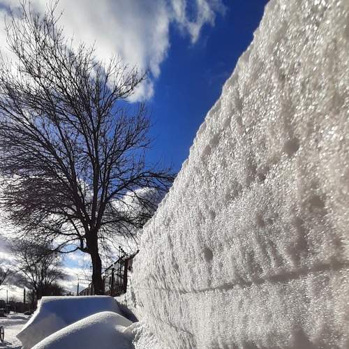 Photo #7158109
