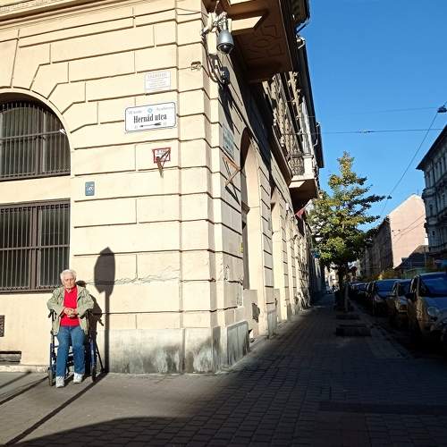 Photo #7158608