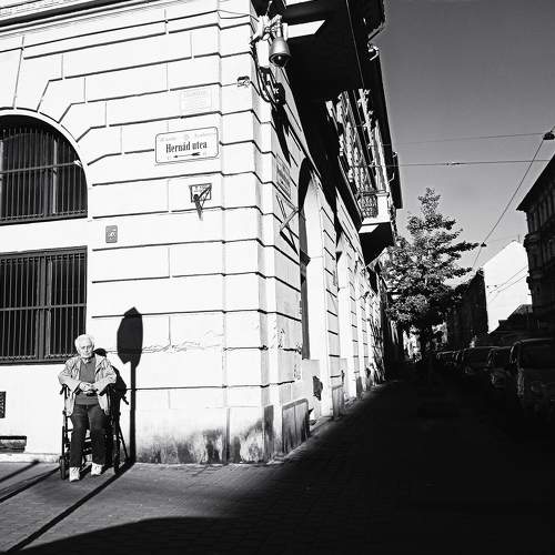 Photo #7158610