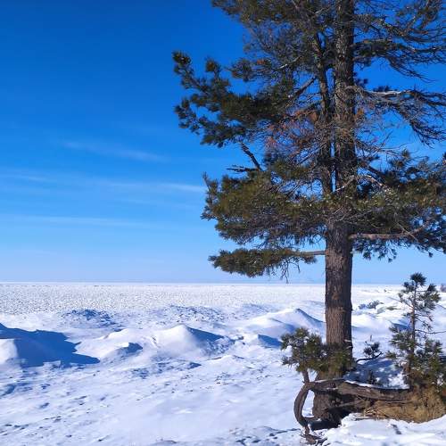 Photo #7158796