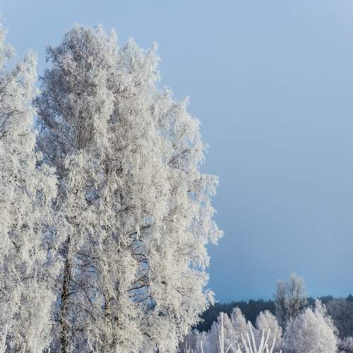 Photo #7159008