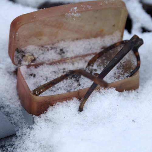Photo #7159048