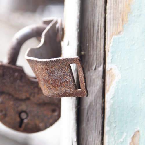Photo #7159051