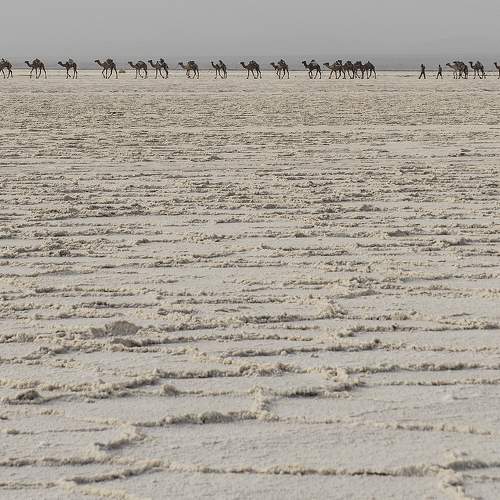 The desert
