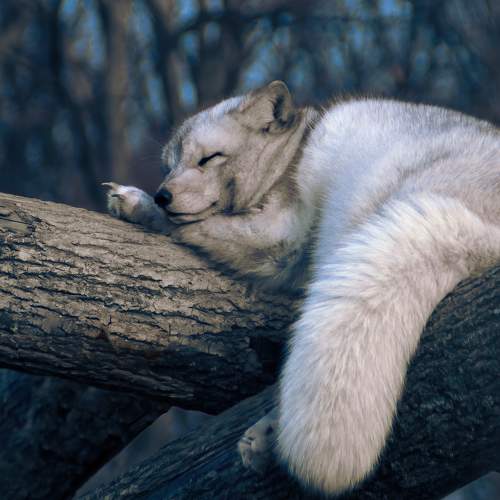 Photo #7159367