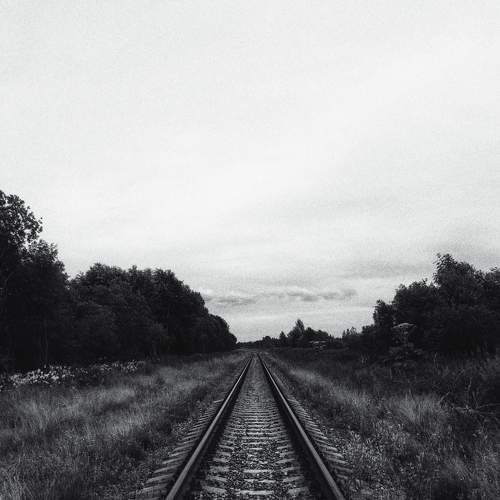 Photo #7159622