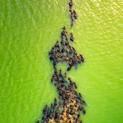 Photo #7160353