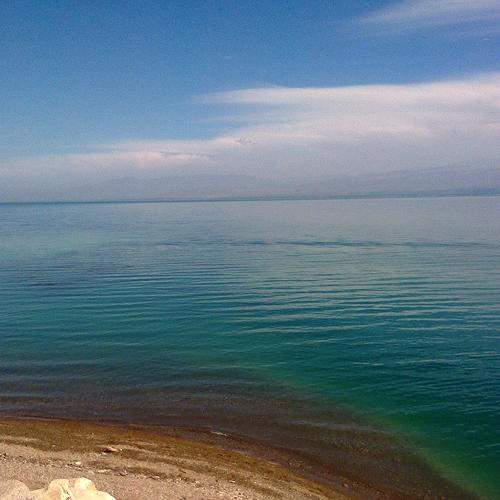 Photo #7160444