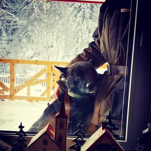 Photo #7161368