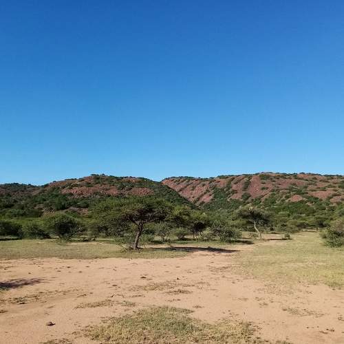 Photo #7161498