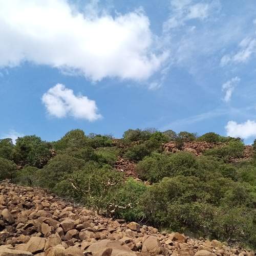 Photo #7161572