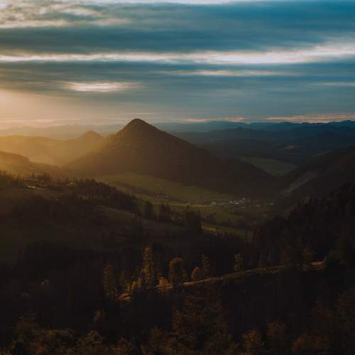 Photo #7161730