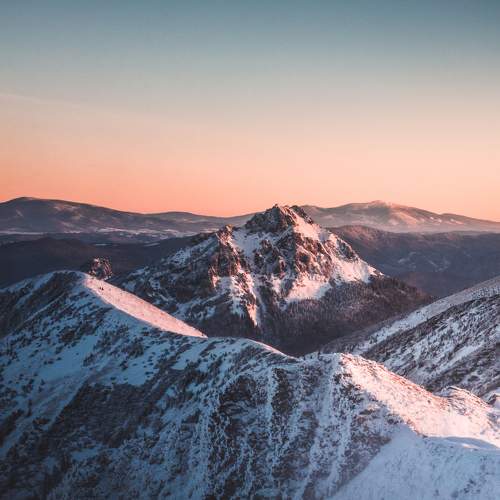 Photo #7161732