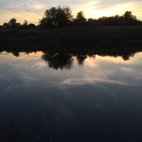 Photo #7161899