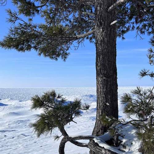Photo #7162209