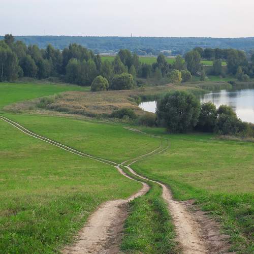 Photo #7162301