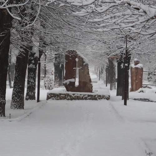 Photo #7162483