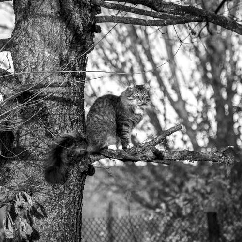 Photo #7163062