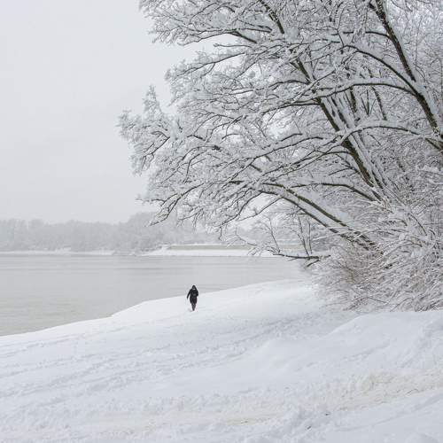 Photo #7163169