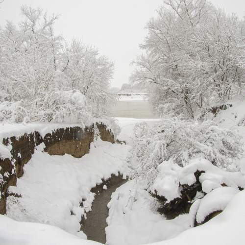 Photo #7163175