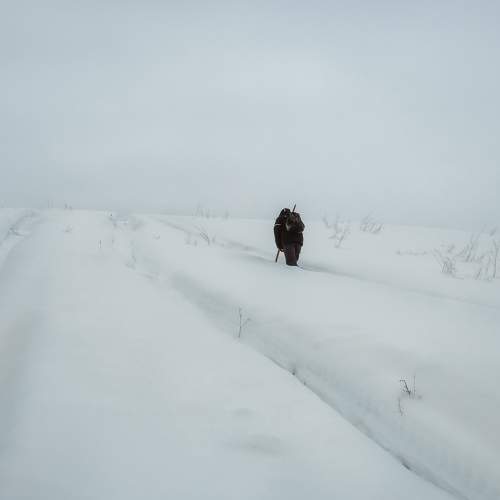 Photo #7163177