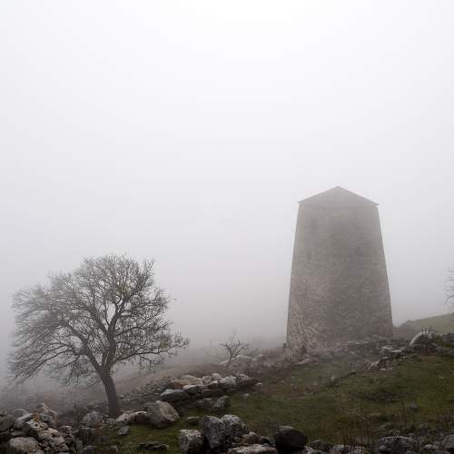 Photo #7163640